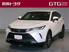 ハリアー G レザーパッケージ