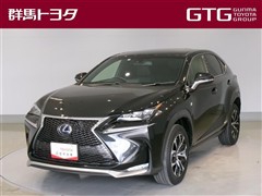 NX300h Fスポーツ