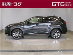 NX300h Fスポーツ