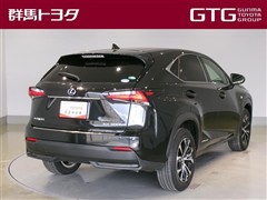 NX300h Fスポーツ