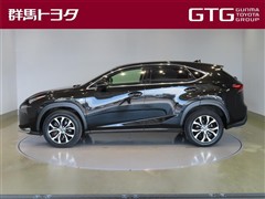 NX200t Fスポーツ