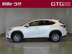 NX300h Iパッケージ 4WD