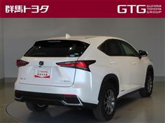 NX300h Iパッケージ 4WD