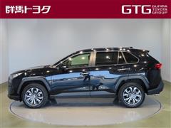 RAV4 G