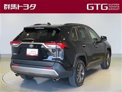 RAV4 G