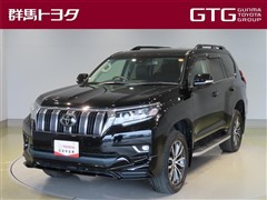 トヨタ ランドクルーザープラド TZ-G