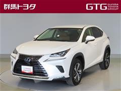 NX300h バージョンL
