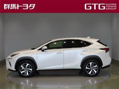 NX300h バージョンL