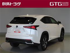 NX300h バージョンL