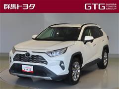 RAV4 G Zパッケージ