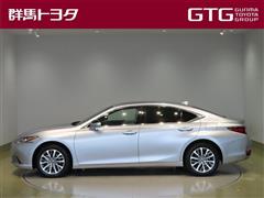 ES300h ヒョウジュンシャ