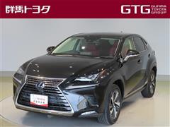 NX300h Iパッケージ