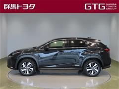 NX300h Iパッケージ