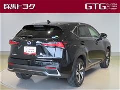 NX300h Iパッケージ