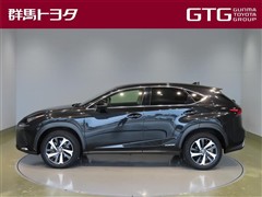 NX300h Iパッケージ