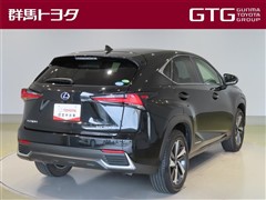NX300h Iパッケージ