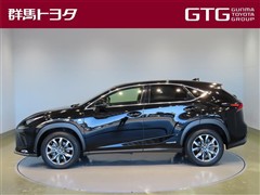 NX300h Fスポーツ