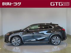 UX250h Fスポーツ