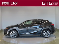 UX250h Fスポーツ