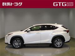 NX300h バージョンL