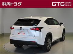 NX300h バージョンL