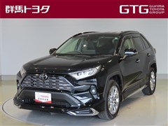 RAV4 G Zパッケージ