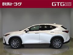 NX250 ヒョウジュンシャ
