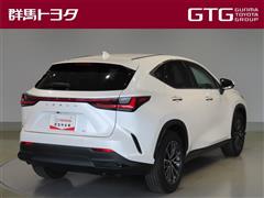 NX250 ヒョウジュンシャ
