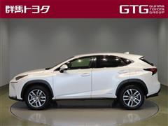 NX300h Iパッケージ