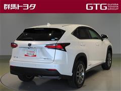 NX300h Iパッケージ