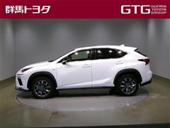 NX300h Fスポーツ