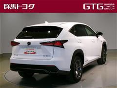 NX300h Fスポーツ