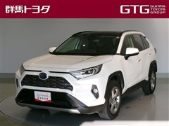 トヨタ RAV4 ハイブリッドG