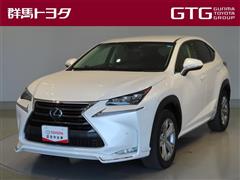 NX300h バージョンL