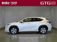 NX300h バージョンL