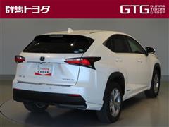 NX300h バージョンL