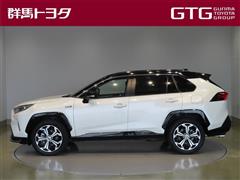RAV4 PHV ブラックトーン