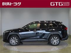 RAV4 ハイブリッドG