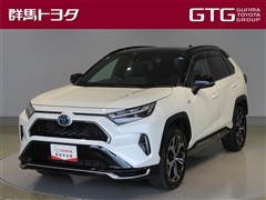 トヨタ RAV4 PHEV ブラックトーン