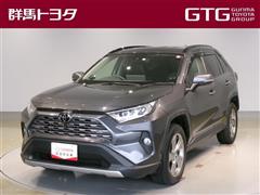 RAV4 G