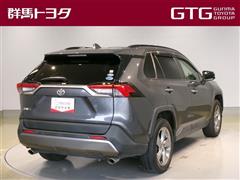 RAV4 G
