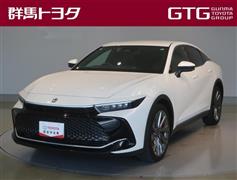 クラウン CO Gアドバ レザー