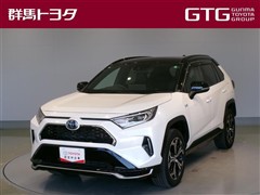 RAV4 PHV ブラックトーン