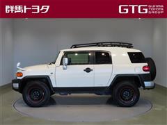 FJクルーザー カラーパッケージ