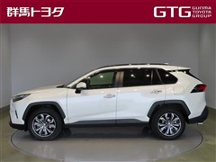 RAV4 ハイブリッドG