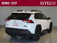 RAV4アドベンチャーオフロード2