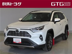 RAV4 ハイブリッドG