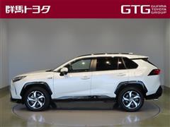 RAV4 PHV G