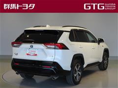 RAV4 PHV G
