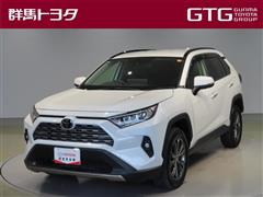 RAV4 G
